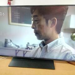 ビエラ　49型　LEDテレビ