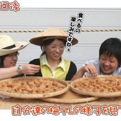 梅譲って頂けないでしょうか？