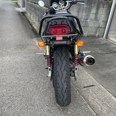 バリオスもどきの画像