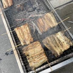 ㊵うなぎ釣りなら鰻遊会✨　　　　　　ライングルチャメンバー募集中❗