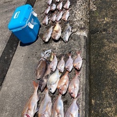 新広島交流会 - メンバー募集