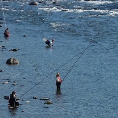 私は釣りの仕方が分からないので、男性の方で釣りを手伝ってく…
