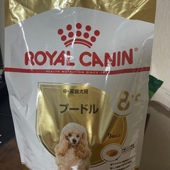 プードル用の中、高齢犬用餌
