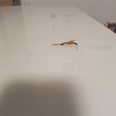 (取引者決まりました)レンジ台の画像