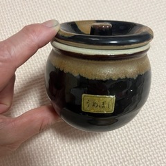 小ぶりな梅干し入れ