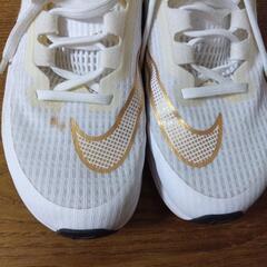 NIKE　エアズーム　RIVAL FLY3の画像