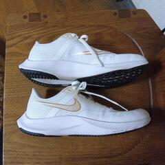 NIKE　エアズーム　RIVAL FLY3の画像