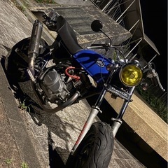 エイプ50