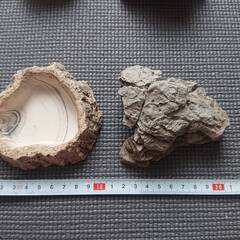 小動物用シェルター&フード皿　小サイズ