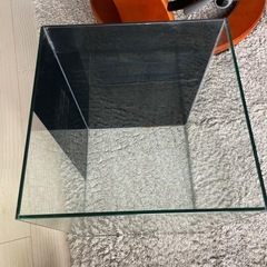 決定　水槽の画像