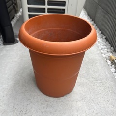 プラスチック　鉢植え