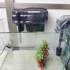 水槽＆フィルター＆プロテインスキマー