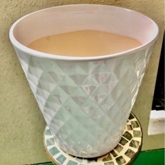お話中です。②陶器植木鉢🪴