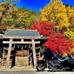 バイクの画像