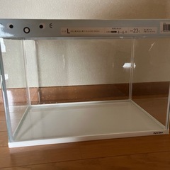 40cm水槽、外掛けフィルターの画像