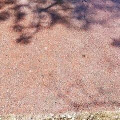 天然石　赤御影石　ニューインペリアルレッド　天然石　テーブル板 　磨き加工の画像