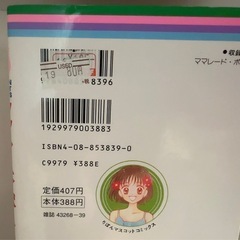 ママレードボーイ全巻の画像