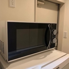 ELSONIC 家電用電子レンジ