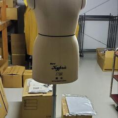 特注品17号サイズトルソー