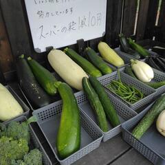 ズッキーニ　②の画像