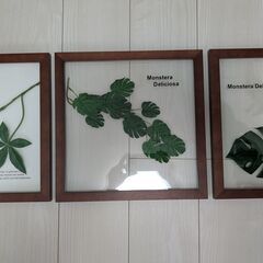 ウォールグリーン フェイク観葉植物 壁掛け 3点