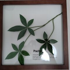 ウォールグリーン フェイク観葉植物 壁掛け 3点の画像