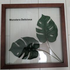 ウォールグリーン フェイク観葉植物 壁掛け 3点の画像