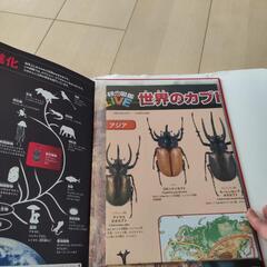 図鑑セットの画像