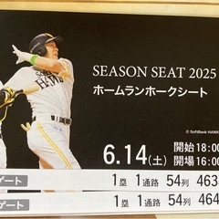 問い合わせ中2025年シーズンシート 野球チケット 6月14日　...