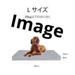 ペット用高反発ベッド、介護ベッドの画像