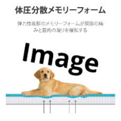 ペット用高反発ベッド、介護ベッドの画像