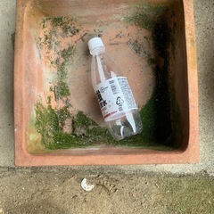 34.四角陶器鉢の画像