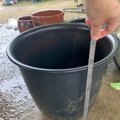 33.プラスチック鉢？穴なしの画像