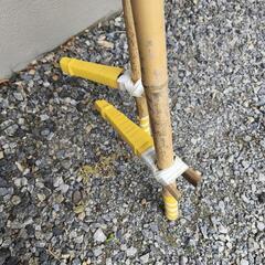 竹馬(受付終了)の画像