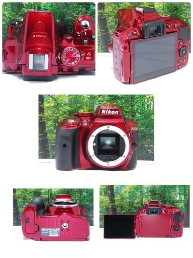 【新品同様】 Nikon D5300❤️希少なレッド❤️ Wi-Fi  一眼レフ