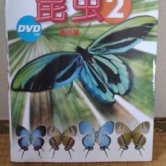 小学館の図鑑NEO 昆虫② 地球編 