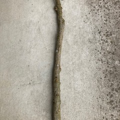 トーチ用の棒