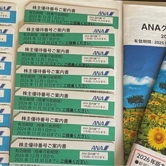 ANA 全日本　株主優待券　グループ券　　14枚あります