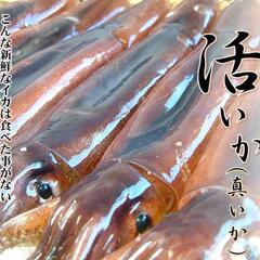 🆕函館からイカ、北海道、宮城県から米✨️