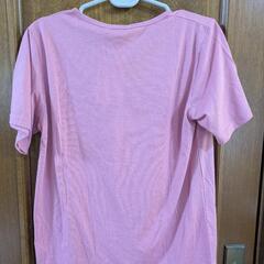 レディース半袖TシャツLLの画像