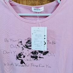 レディース半袖TシャツLLの画像