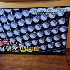 65型 有機ELテレビ Panasonic パナソニック 33


の画像