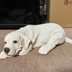 かわいい！本物みたいな犬の置き物の画像