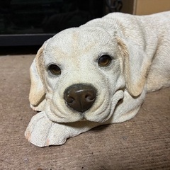 かわいい！本物みたいな犬の置き物の画像
