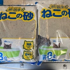 猫のトイレの砂の画像