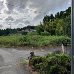 草刈り剪定お任せください‼️
