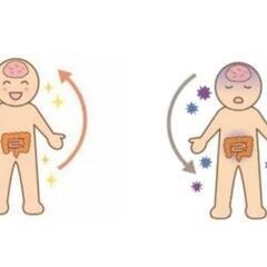 腸と脳のヨガ・瞑想体験会①