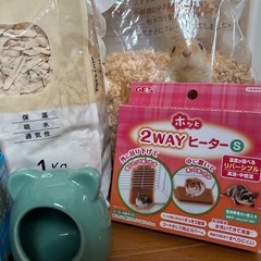 ハムスターの画像