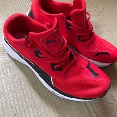 スポーツ　シューズの画像