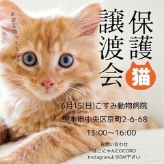 🐈保護猫譲渡会のお知らせ🐈